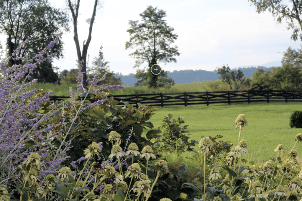 Screenshot 2024-12-12 at 10.29.05 AM